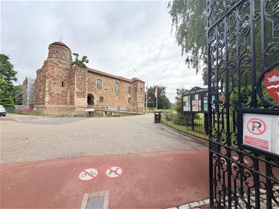 Picture 7